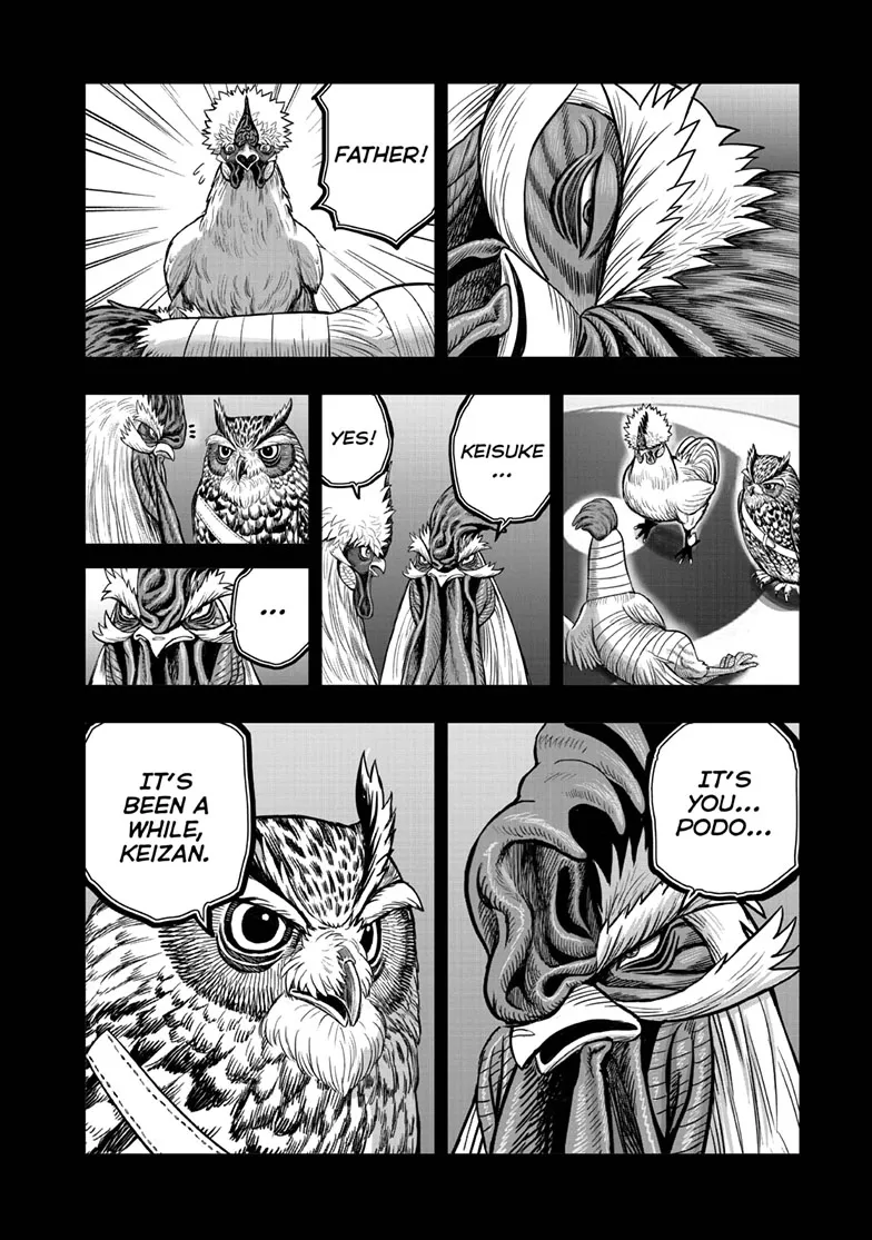 Read Rooster Fighter EN Manga Online
