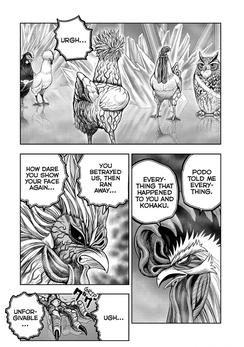 Read Rooster Fighter EN Manga Online