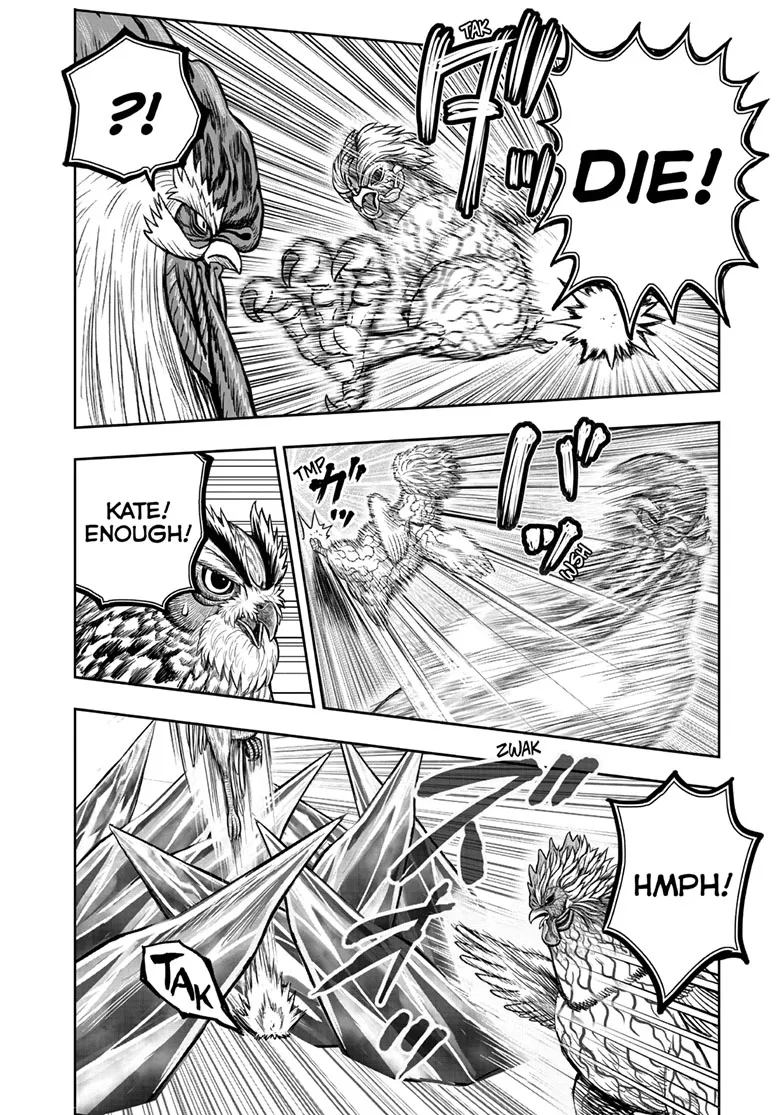Read Rooster Fighter EN Manga Online