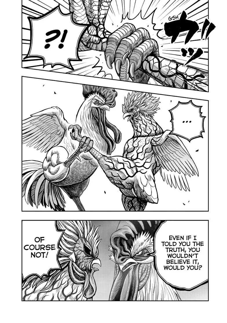 Read Rooster Fighter EN Manga Online