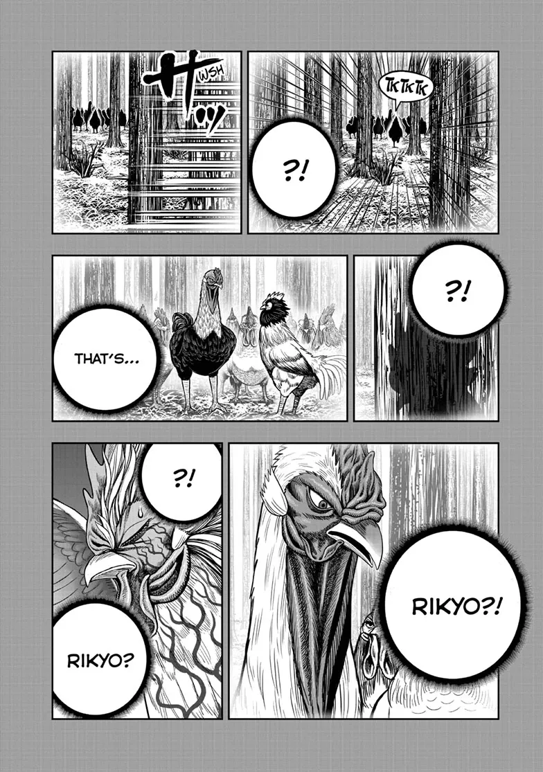 Read Rooster Fighter EN Manga Online