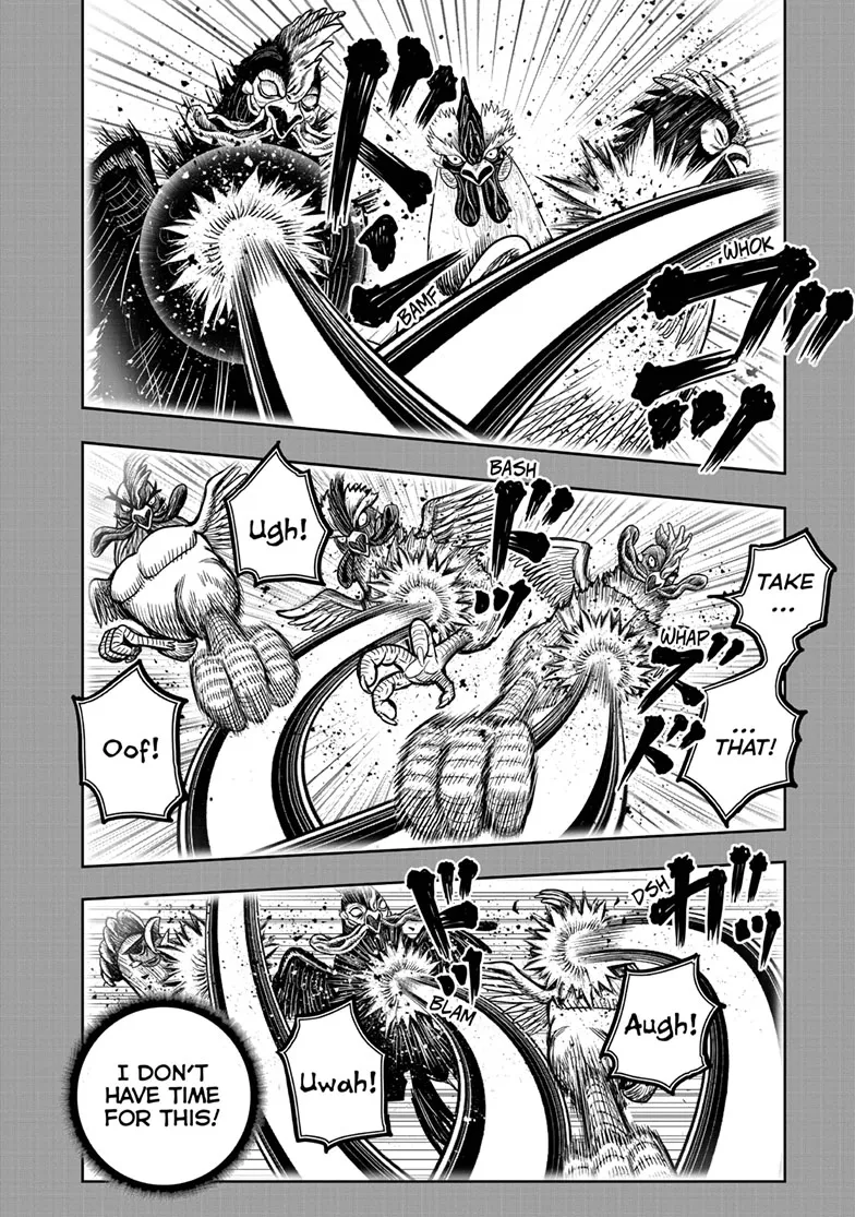 Read Rooster Fighter EN Manga Online