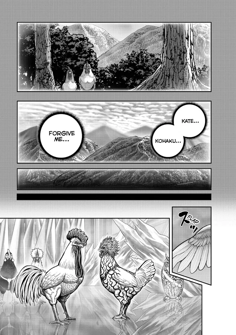 Read Rooster Fighter EN Manga Online