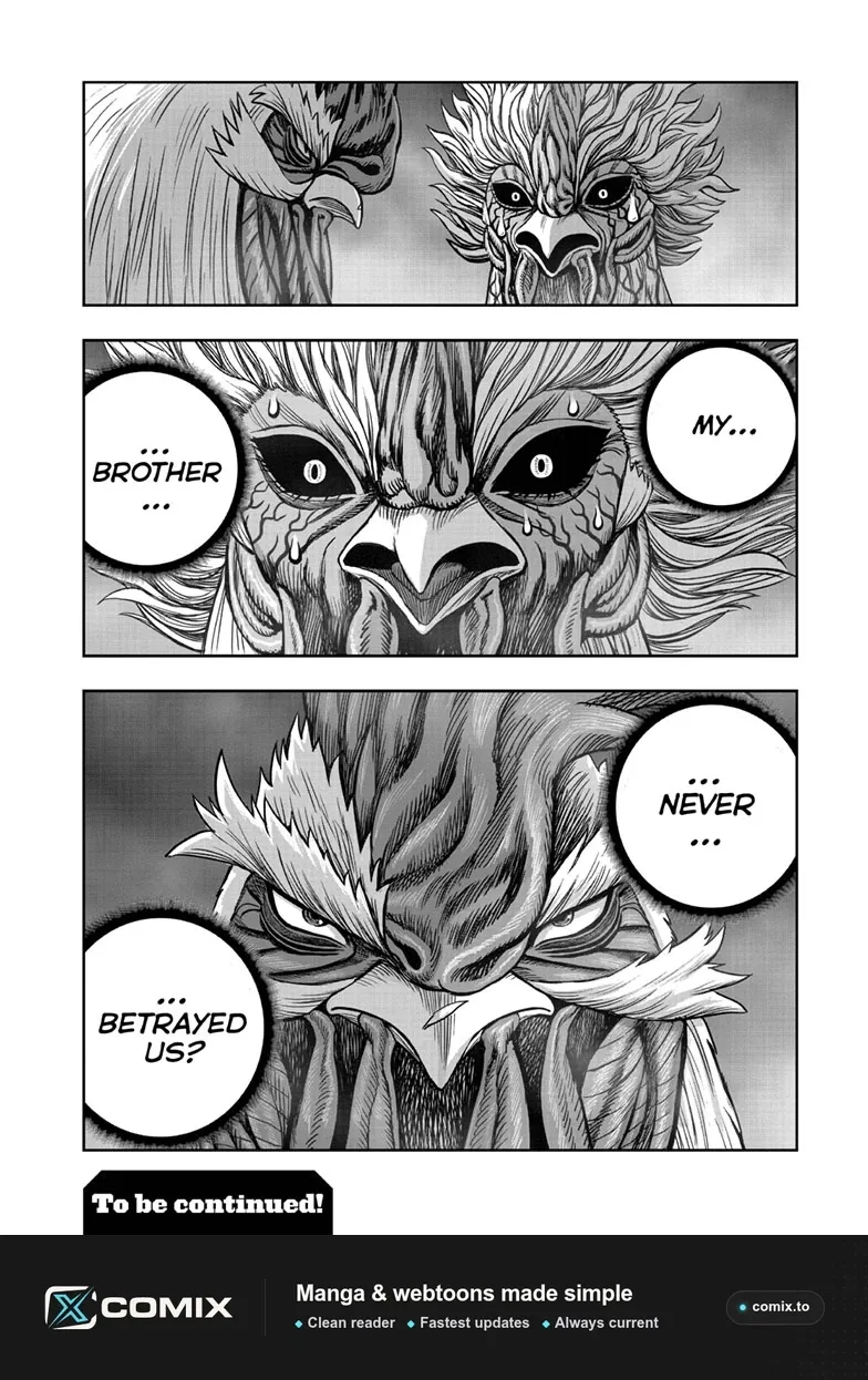 Read Rooster Fighter EN Manga Online
