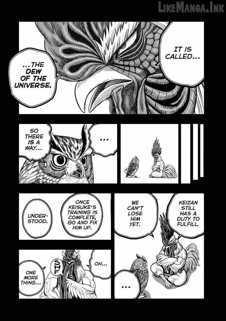 Read Rooster Fighter EN Manga Online
