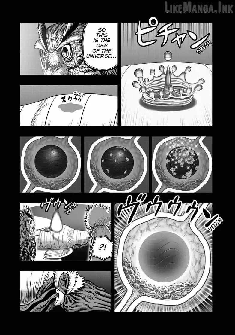 Read Rooster Fighter EN Manga Online