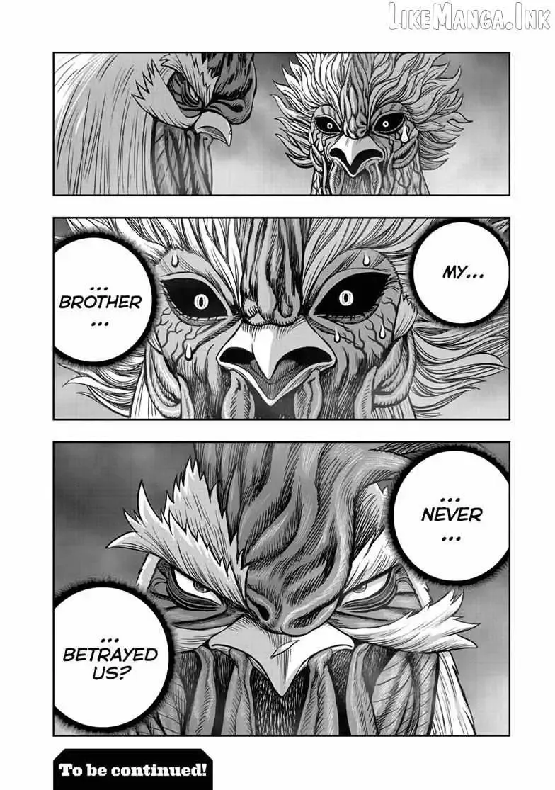 Read Rooster Fighter EN Manga Online