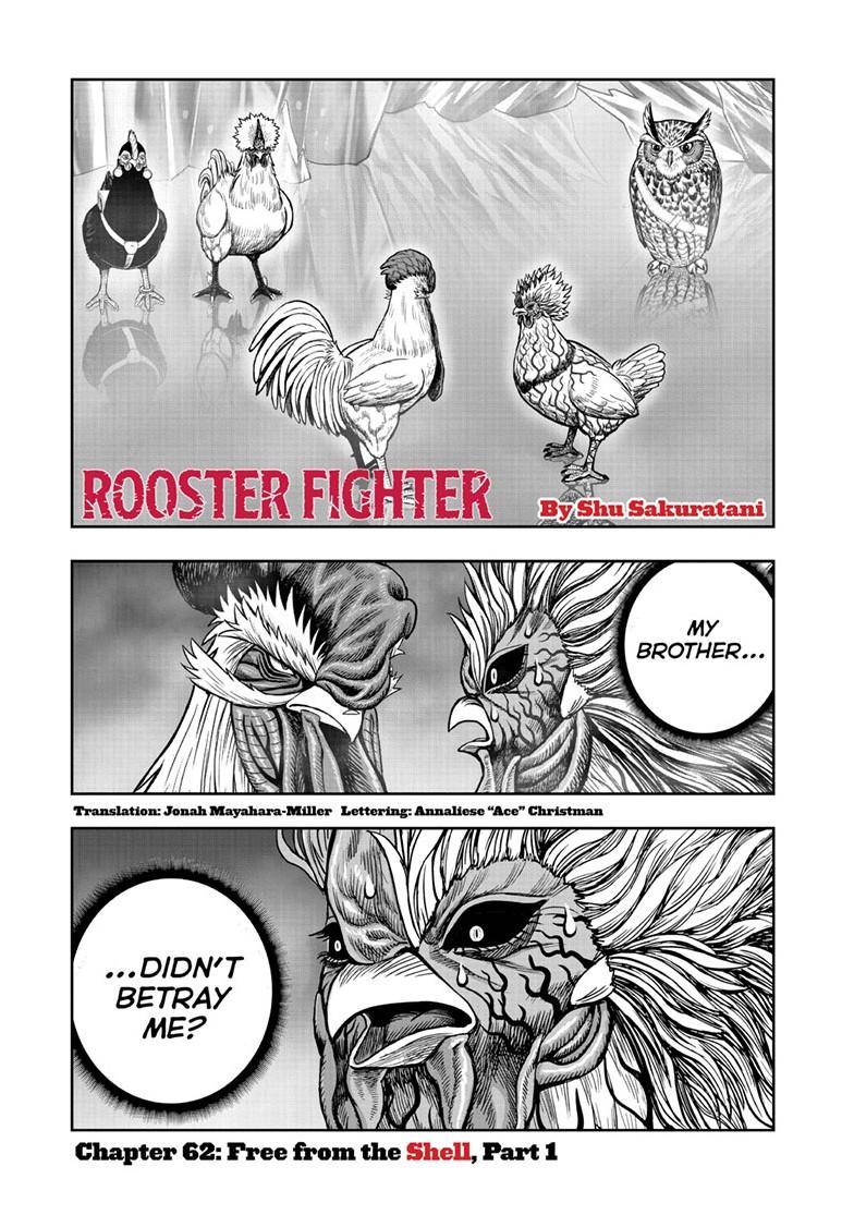 Read Rooster Fighter EN Manga Online