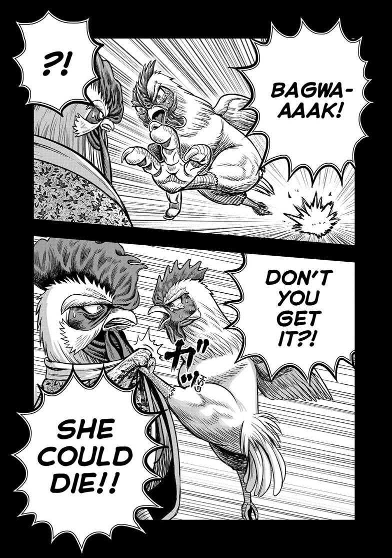 Read Rooster Fighter EN Manga Online