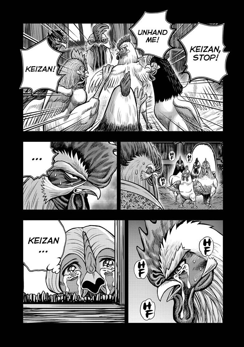 Read Rooster Fighter EN Manga Online
