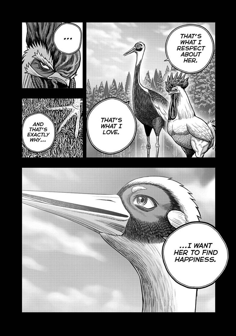 Read Rooster Fighter EN Manga Online