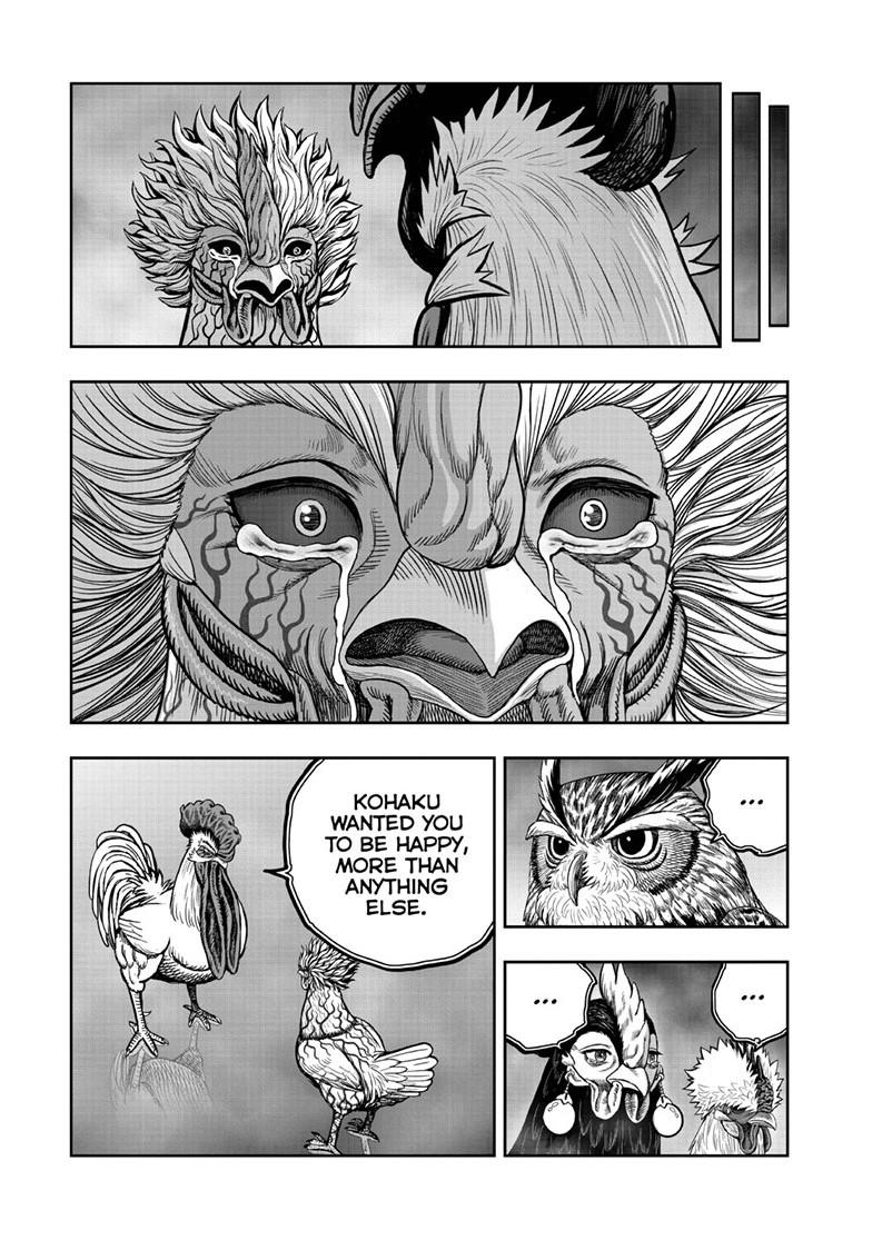 Read Rooster Fighter EN Manga Online