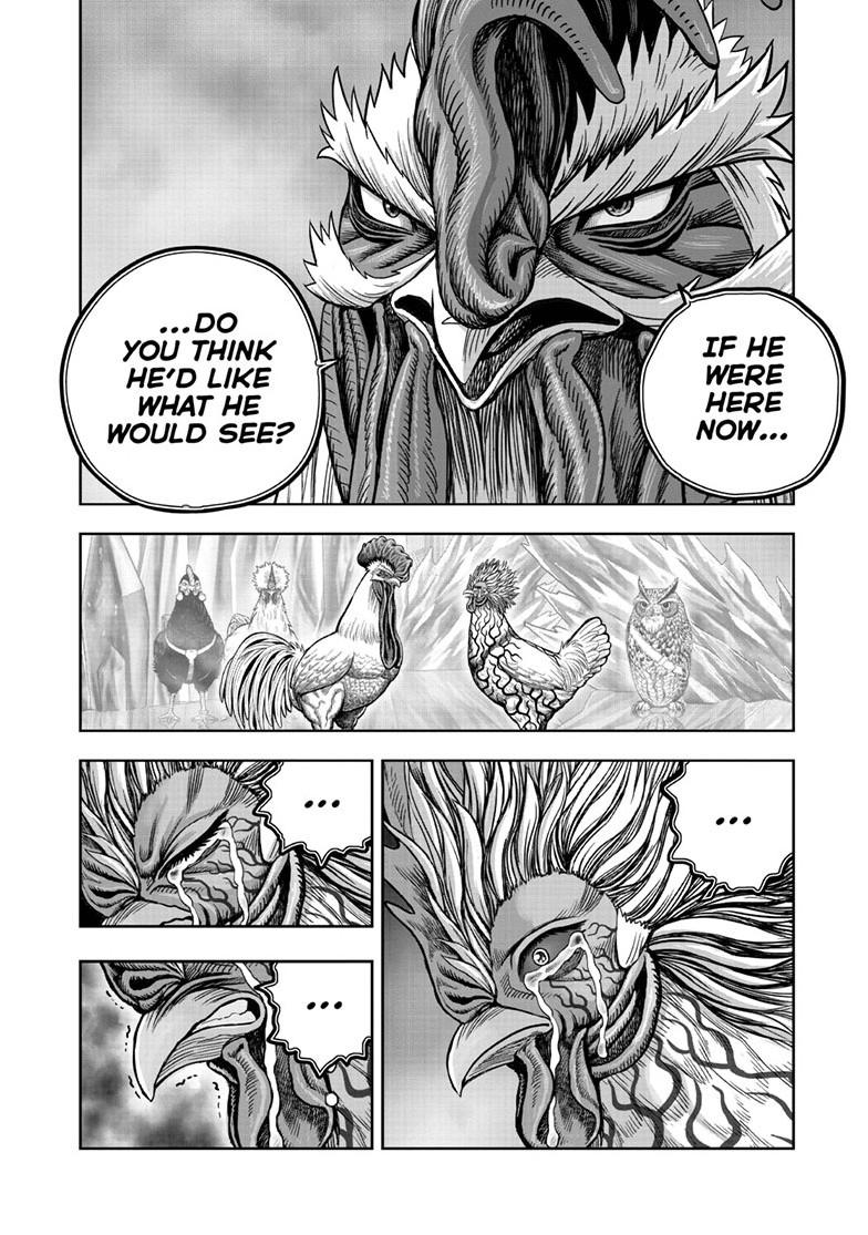 Read Rooster Fighter EN Manga Online
