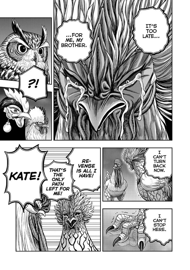 Read Rooster Fighter EN Manga Online