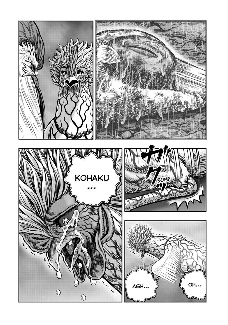 Read Rooster Fighter EN Manga Online