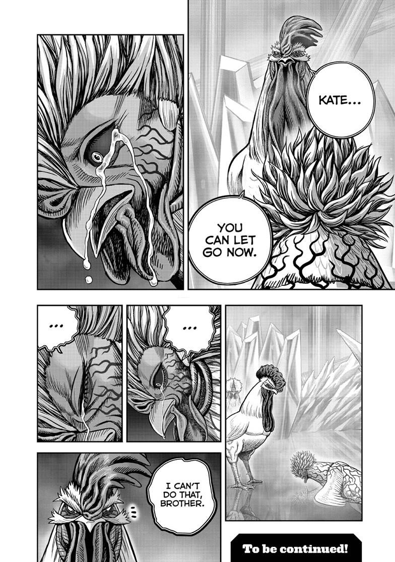 Read Rooster Fighter EN Manga Online