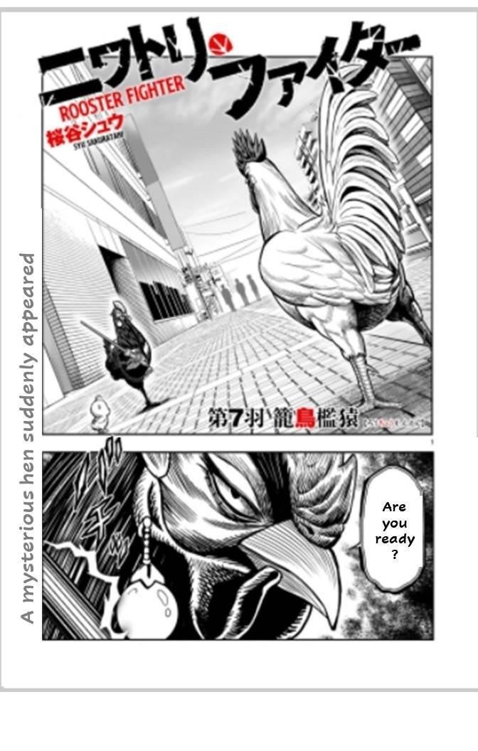 Read Rooster Fighter EN Manga Online