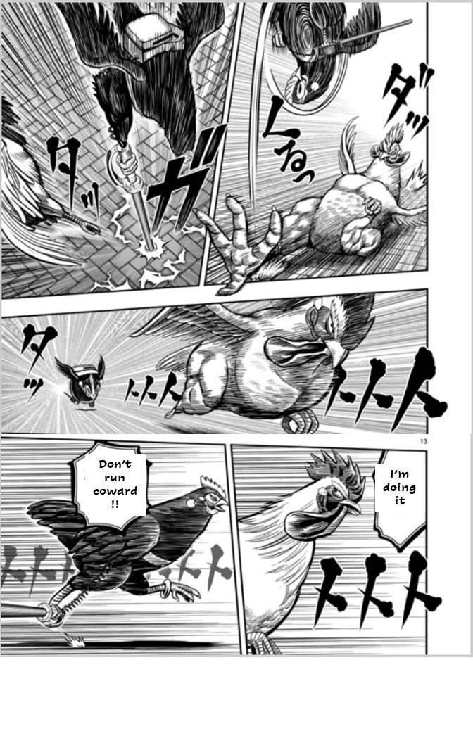 Read Rooster Fighter EN Manga Online