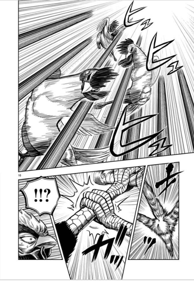 Read Rooster Fighter EN Manga Online