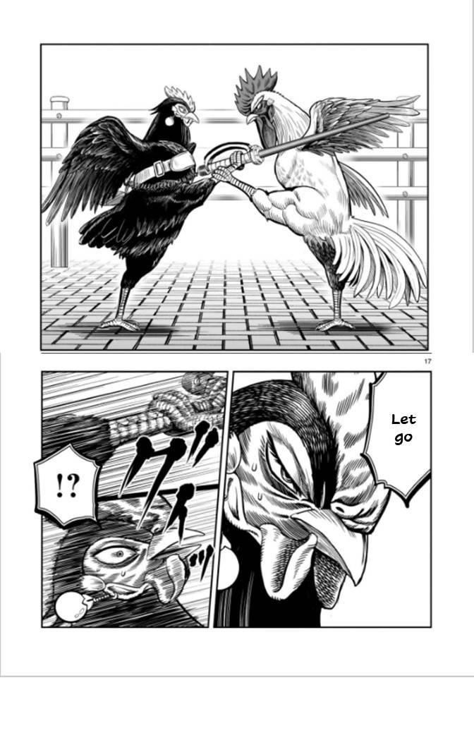 Read Rooster Fighter EN Manga Online