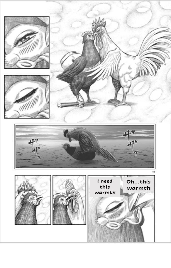 Read Rooster Fighter EN Manga Online