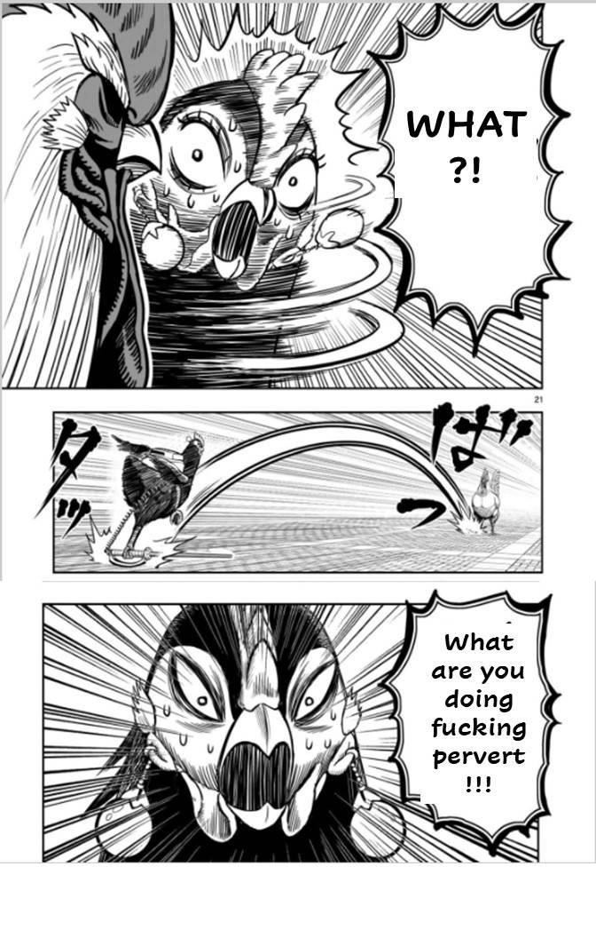 Read Rooster Fighter EN Manga Online
