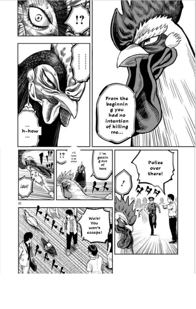 Read Rooster Fighter EN Manga Online