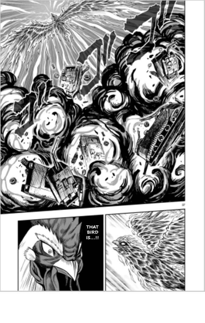 Read Rooster Fighter EN Manga Online