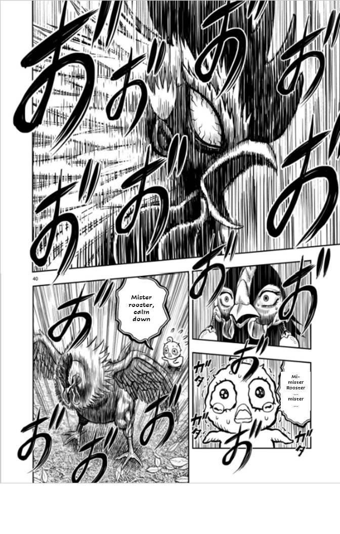 Read Rooster Fighter EN Manga Online