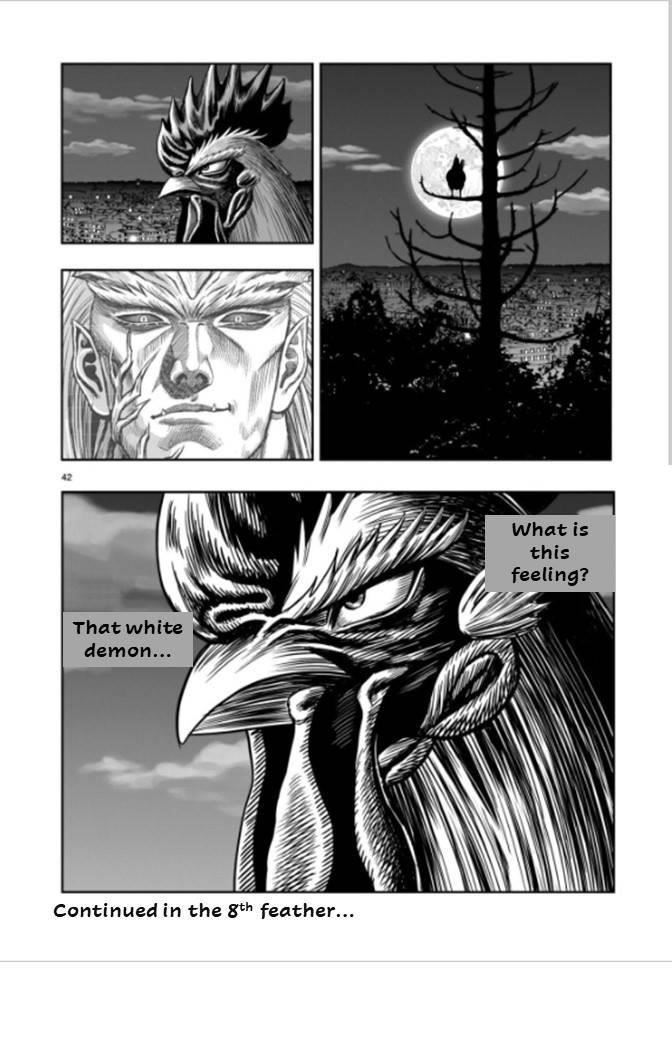 Read Rooster Fighter EN Manga Online