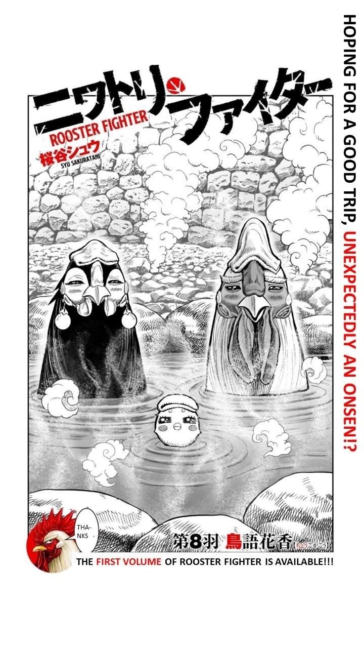 Read Rooster Fighter EN Manga Online