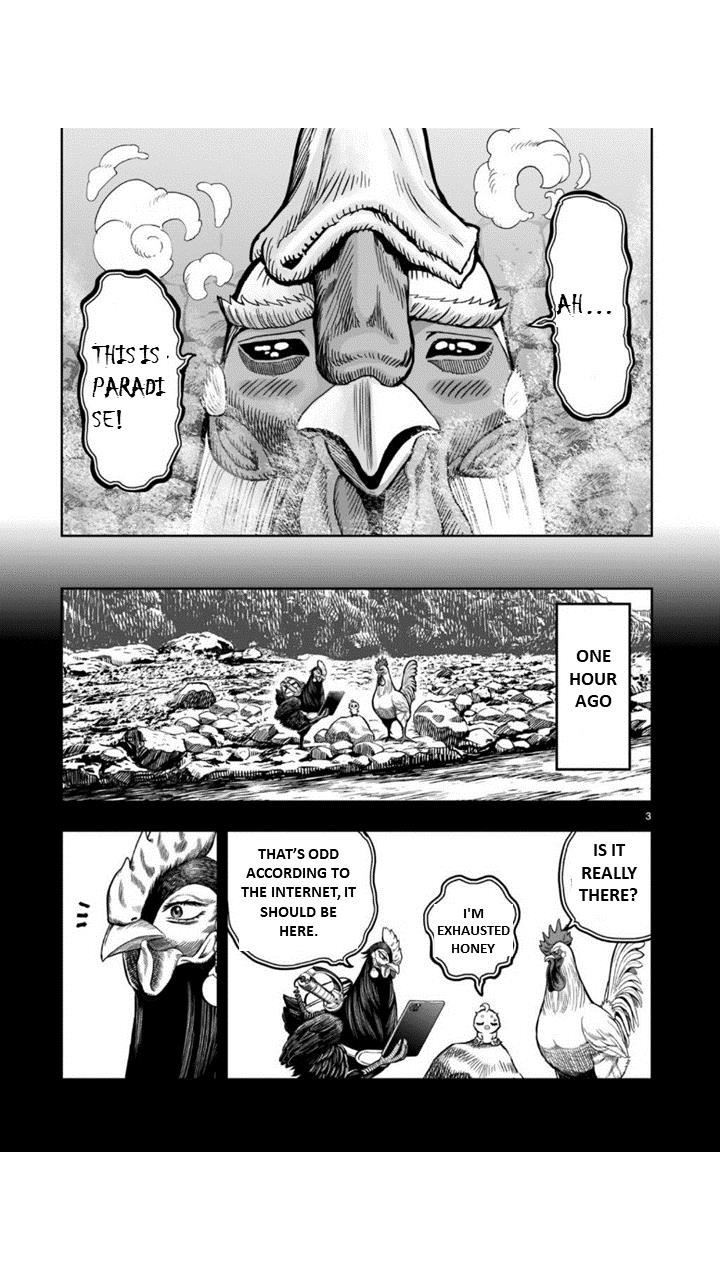 Read Rooster Fighter EN Manga Online