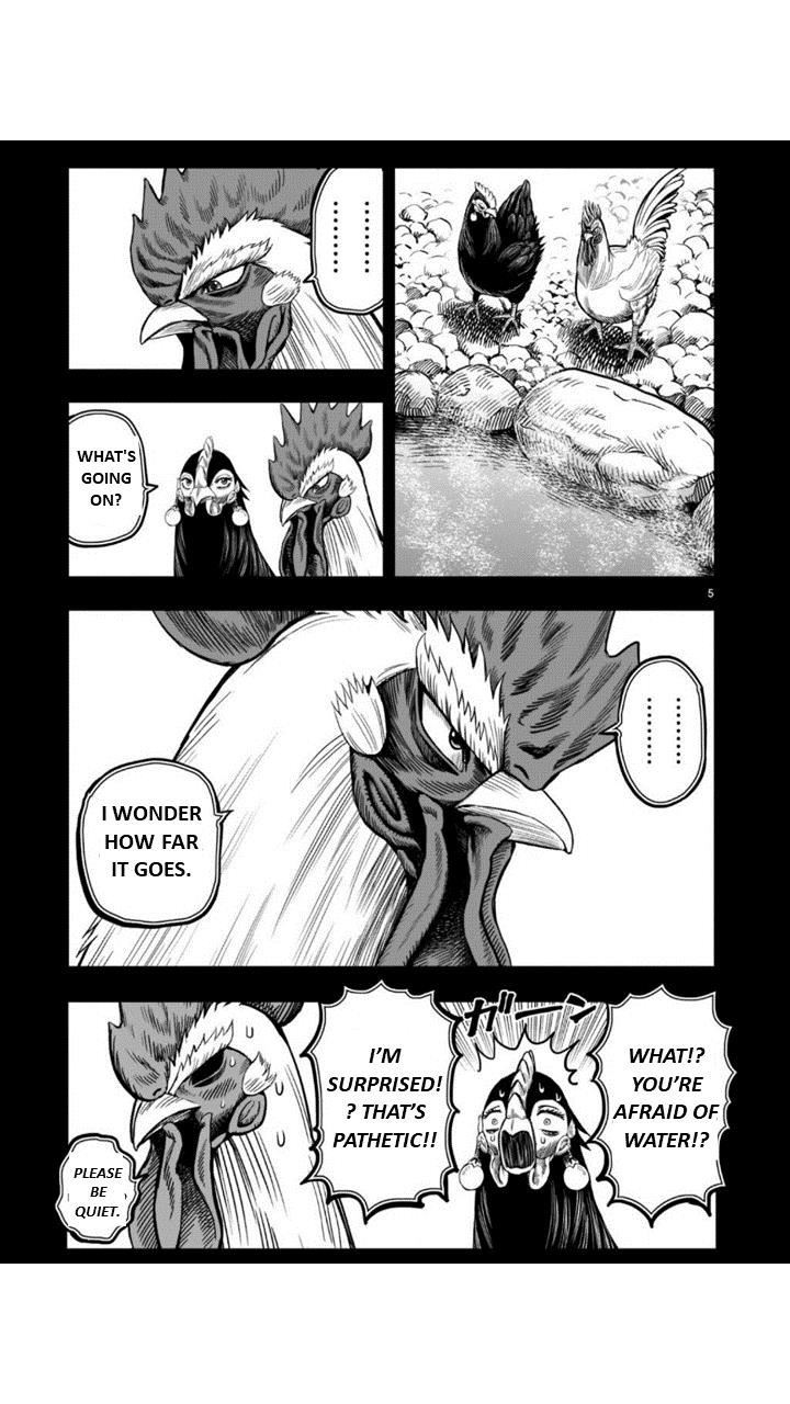 Read Rooster Fighter EN Manga Online