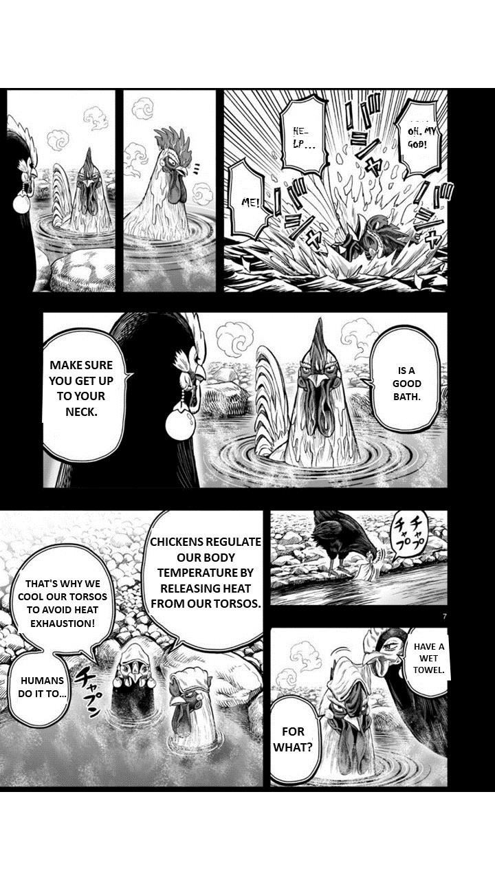 Read Rooster Fighter EN Manga Online