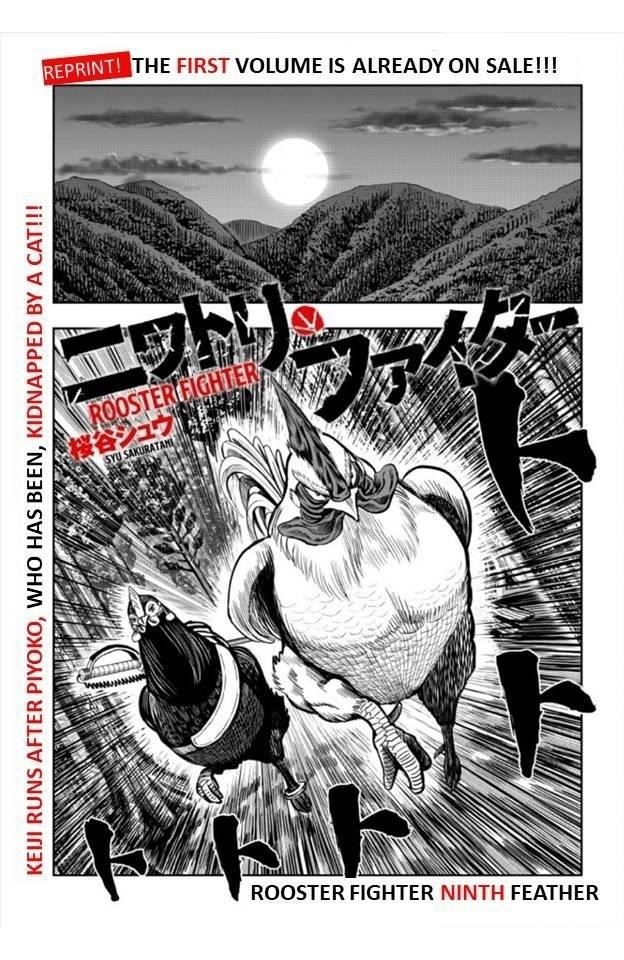 Read Rooster Fighter EN Manga Online
