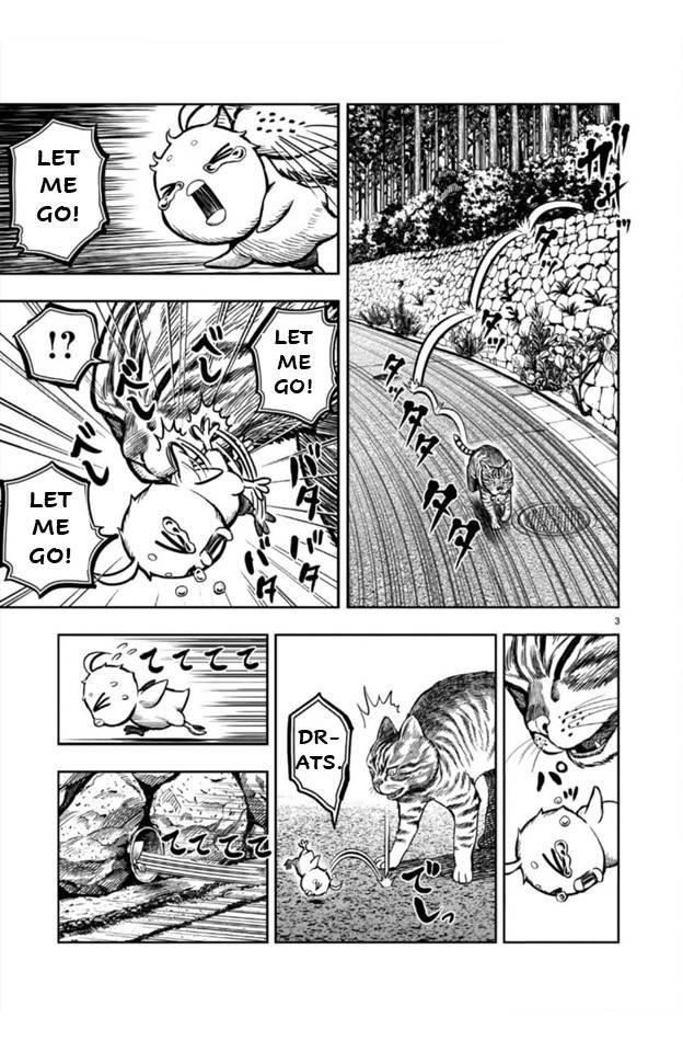Read Rooster Fighter EN Manga Online
