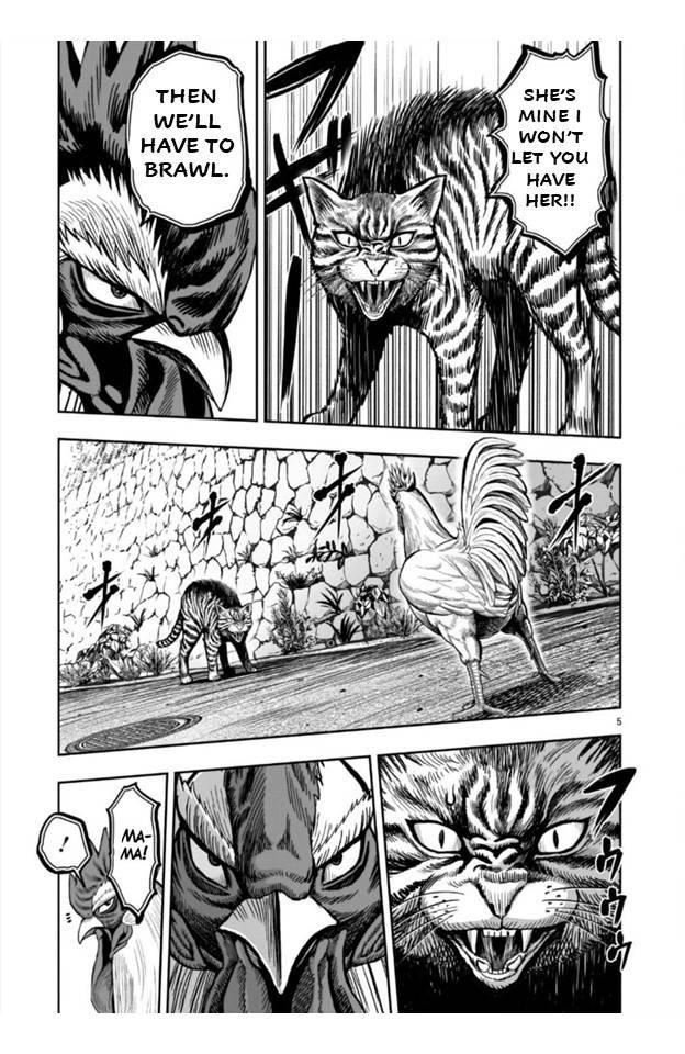 Read Rooster Fighter EN Manga Online