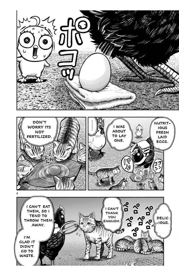 Read Rooster Fighter EN Manga Online