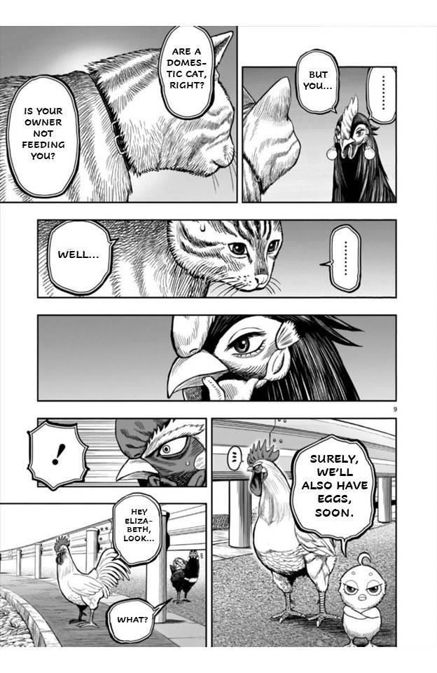 Read Rooster Fighter EN Manga Online