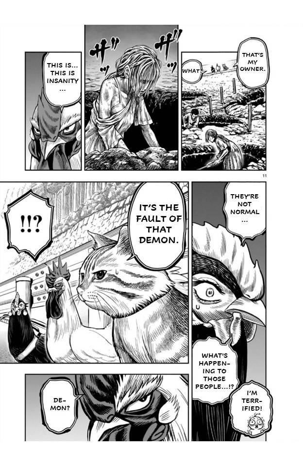 Read Rooster Fighter EN Manga Online