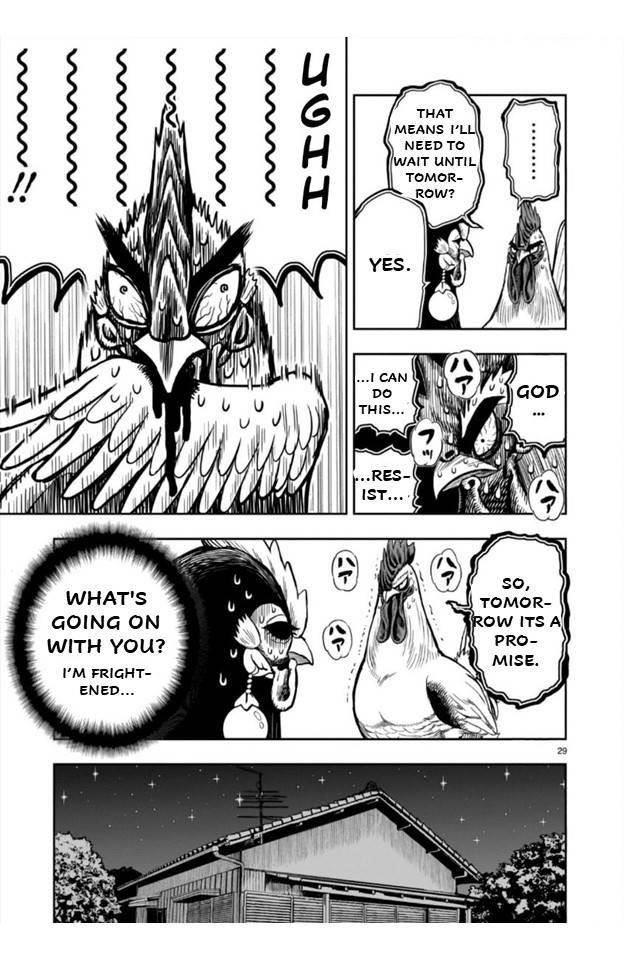 Read Rooster Fighter EN Manga Online