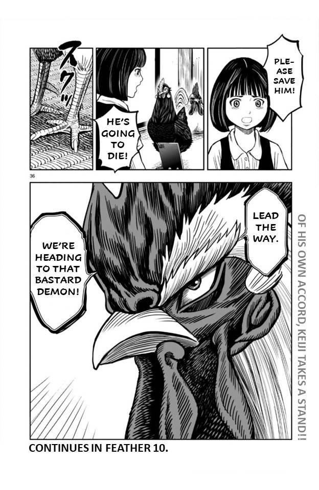 Read Rooster Fighter EN Manga Online