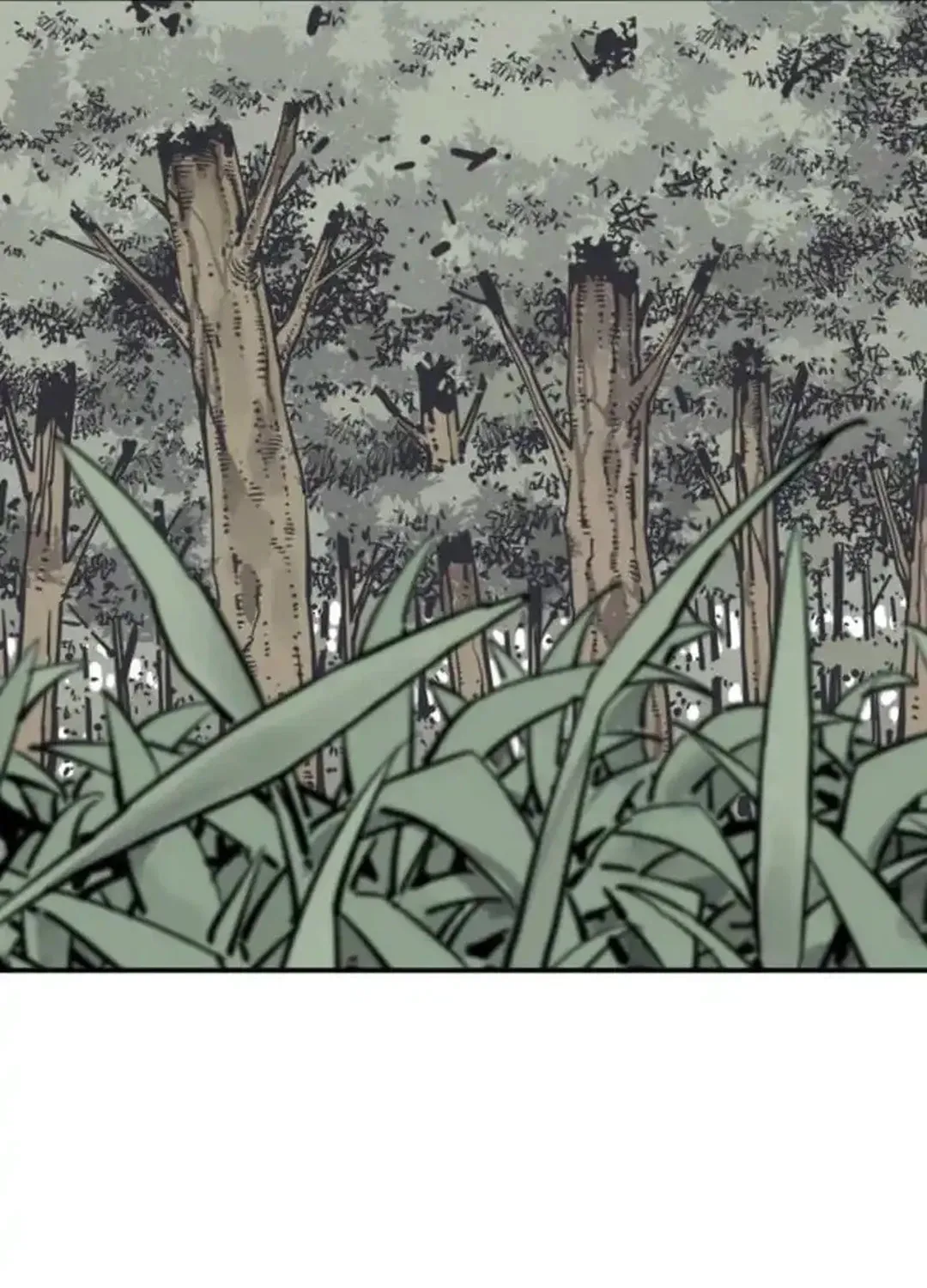 Read Shashin EN Manga Online
