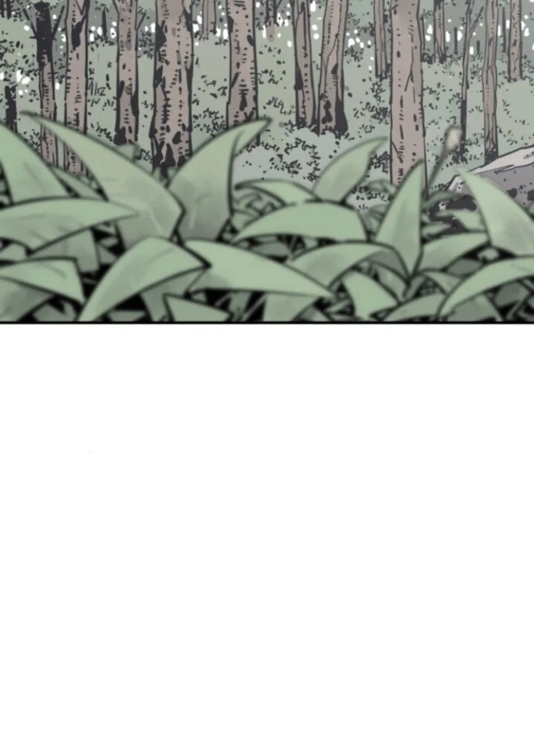 Read Shashin EN Manga Online