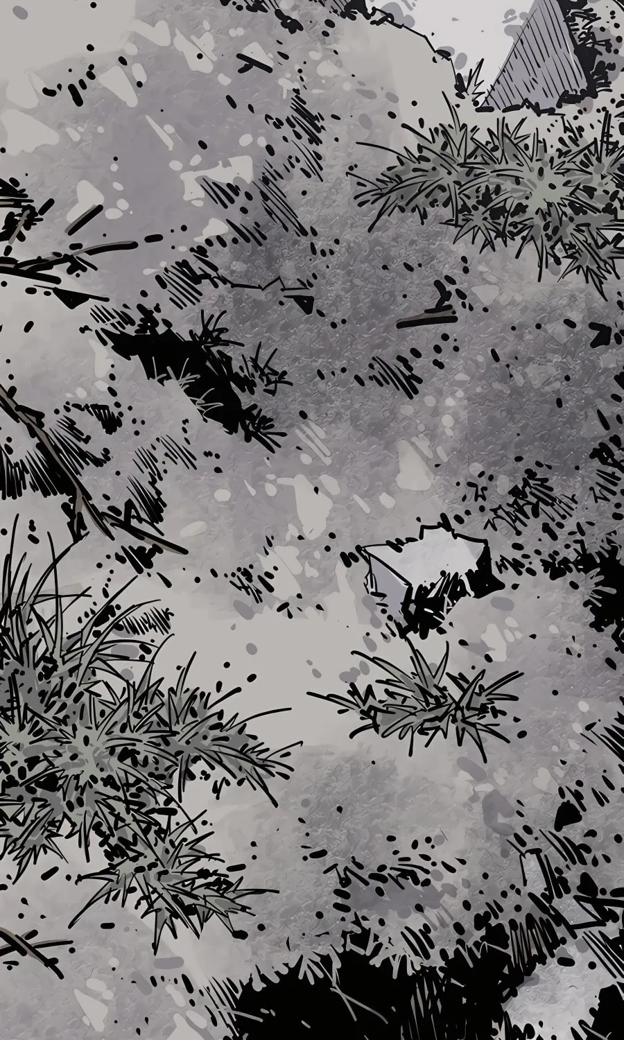 Read Shashin EN Manga Online