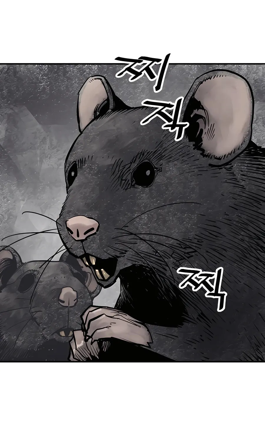 Read Shashin EN Manga Online