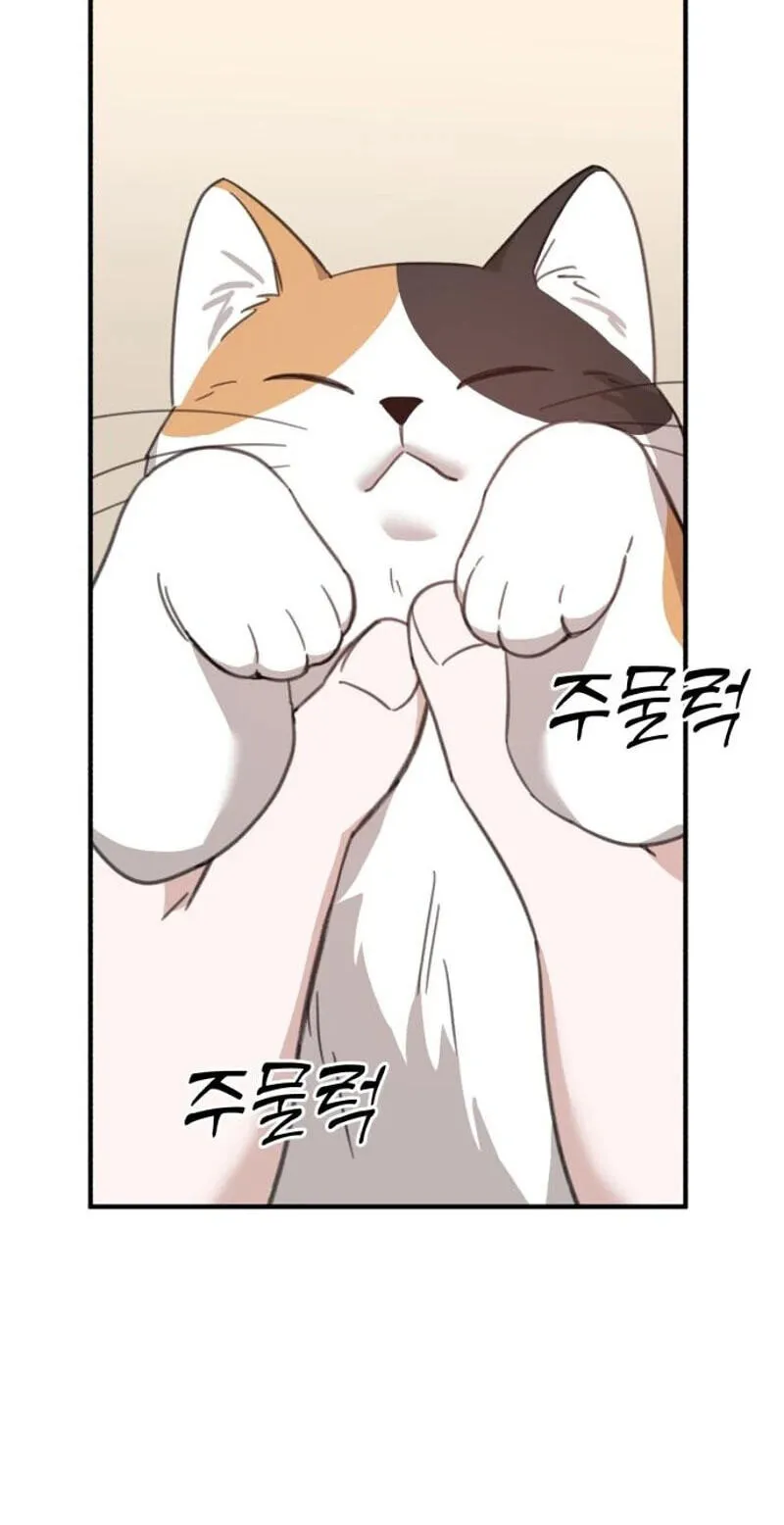 Read Sweet Romance Spicy Roommates EN Manga Online