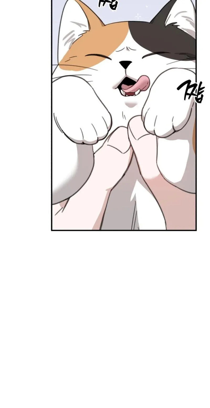 Read Sweet Romance Spicy Roommates EN Manga Online