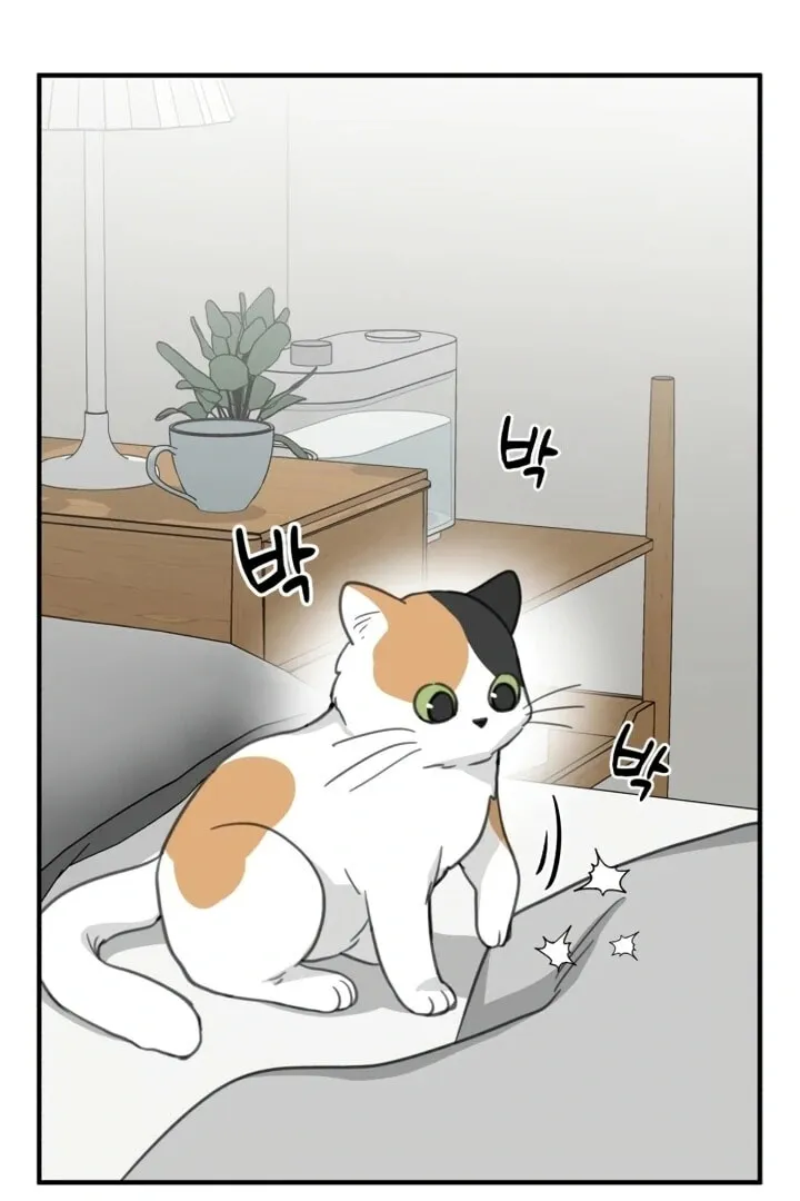 Read Sweet Romance Spicy Roommates EN Manga Online