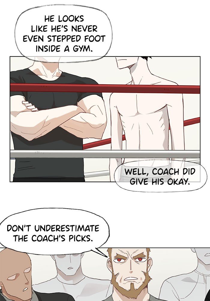 Read The Boxer EN Manga Online